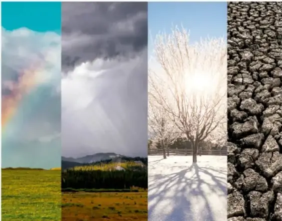 Collage de cuatro fotografías que muestran un arcoíris sobre un campo, nubes de tormenta, un árbol nevado y suelo árido agrietado, representando distintos climas y fenómenos.