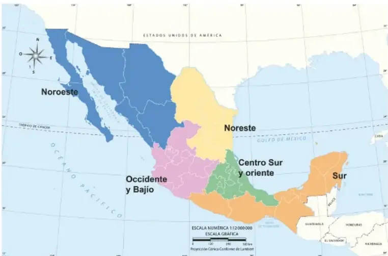 Columna con símbolos gráficos de distintas culturas originarias (flores, grecas, figuras geométricas).