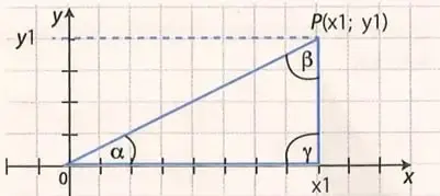 Plano cartesiano con un punto P de coordenadas (x1, y1) y un triángulo rectángulo formado con los ejes.