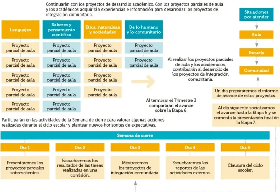 Organizador gráfico del Trimestre 3 con la misma estructura y, al pie, la línea de tiempo de la Semana de cierre (Día 1 a Día 5).