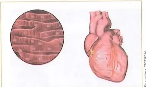 Figura 3 de Ciencias Naturales 8° · Egb 8 Ciencias Naturales 2025 · 2025