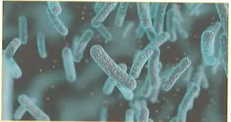 Figura 2 de Ciencias Naturales 9° · 2025