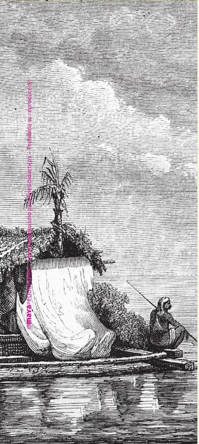 Ilustración histórica en blanco y negro de una embarcación o transporte fluvial en el río Guayas, con personas y productos.