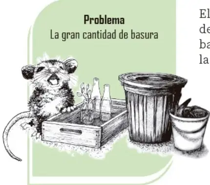 Ilustración de una rata junto a un bote de basura, con el rótulo 'Problema: La gran cantidad de basura'.
