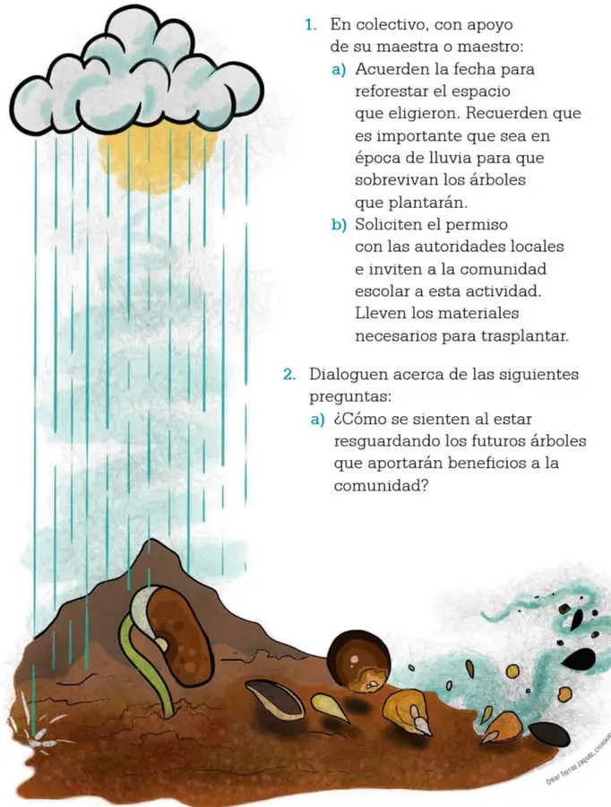 Figura 1 de Proyectos Escolares. Libro de Educación Primaria Grado 4° Ciclo Escolar 2025 - 2026