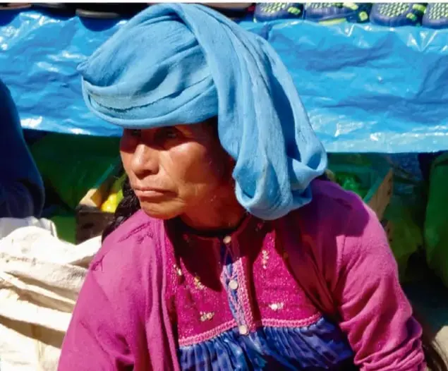Fotografía de una mujer indígena con rebozo azul y blusa rosa bordada, sentada en un mercado con cubiertas azules de plástico de fondo.