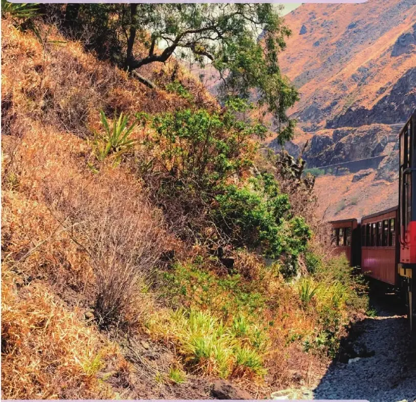 Paisaje montañoso ecuatoriano atravesado por un tren. La imagen representa al ferrocarril como símbolo de unidad nacional y muestra la diversidad geográfica del Ecuador.