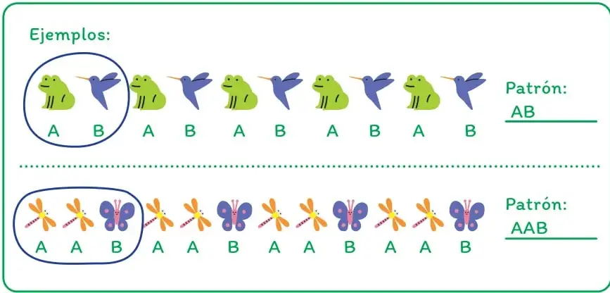 Ejemplos de patrones: rana y picaflor alternados (AB) y libélula, libélula, mariposa (AAB).