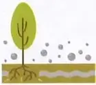 Figura 4 de Ciencias Naturales 9° · 2025