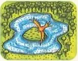 Ilustración pequeña de un animal en un paisaje, relacionada con la pregunta sobre si los animales saben orientarse.