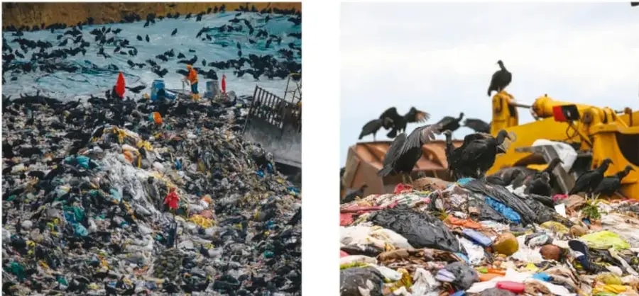 Vertedero de basura con grandes cantidades de residuos y personas recolectoras trabajando entre la basura.