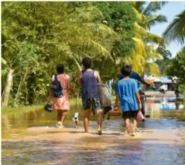Fotografía de un grupo de personas caminando por una calle inundada con vegetación tropical, ilustrando los efectos de fenómenos climáticos en la comunidad.