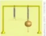 Figura 6 de Ciencias Naturales 5° · Egb 5 Ciencias Naturales 2024 · 2024