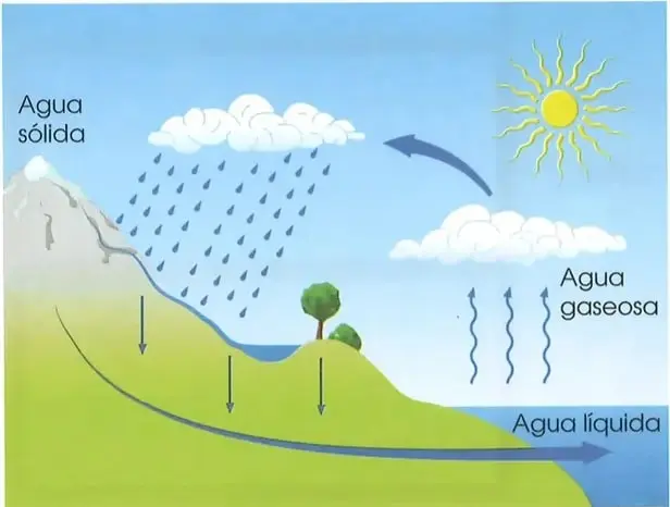 Recuadro de interculturalidad que explica que los indígenas del páramo cuidan el agua porque es indispensable para vivir.