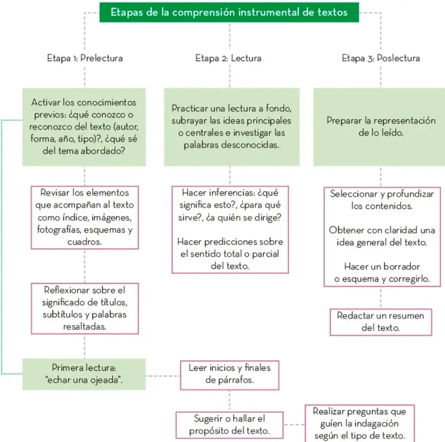 Organizador gráfico titulado 'Etapas de la comprensión instrumental de textos' con tres columnas: Etapa 1 Prelectura, Etapa 2 Lectura, Etapa 3 Poslectura, con cajas verdes y rosas conectadas por líneas discontinuas que detallan las acciones de cada etapa.