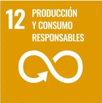 Recuadro naranja con el ícono del ODS 12: número 12, texto 'PRODUCCIÓN Y CONSUMO RESPONSABLES' y símbolo del infinito en forma de flechas de reciclaje.
