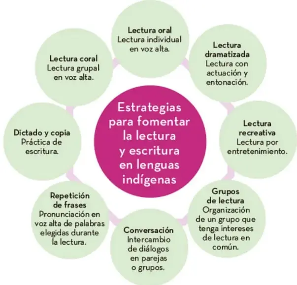 Mapa mental con círculo central rosa titulado 'Estrategias para fomentar la lectura y escritura en lenguas indígenas' y ocho círculos verdes alrededor, cada uno con una estrategia y su descripción: lectura oral, lectura dramatizada, lectura recreativa, grupos de lectura, conversación, repetición de frases, dictado y copia y lectura coral.
