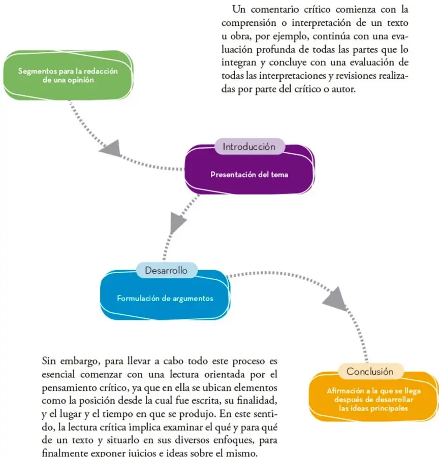Organizador gráfico con flechas que encadena tres recuadros: Introducción (morado), Desarrollo (azul) y Conclusión (naranja), provenientes del rótulo verde 'Segmentos para la redacción de una opinión'.