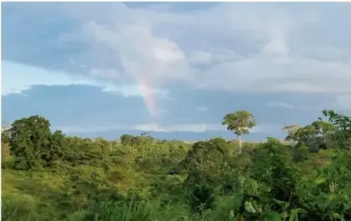 Paisaje de selva densa con vegetación exuberante y un arcoíris, representando el Tapón del Darién.