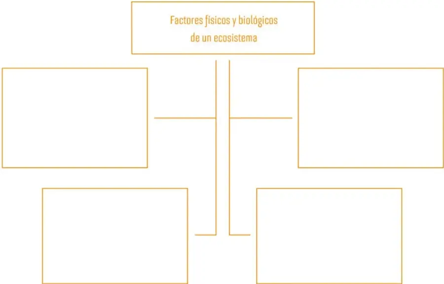 Mapa conceptual con recuadros vacíos para completar sobre factores del ecosistema.