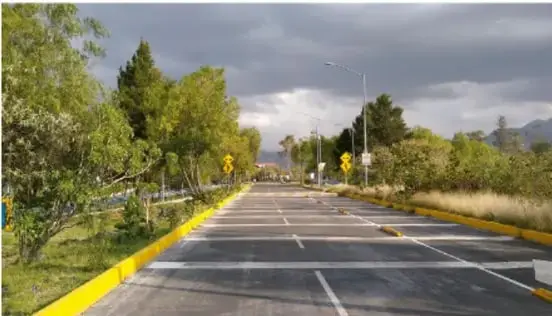 Fotografía de una calle pavimentada con árboles a los lados, señalamientos viales y montañas al fondo bajo un cielo nublado.
