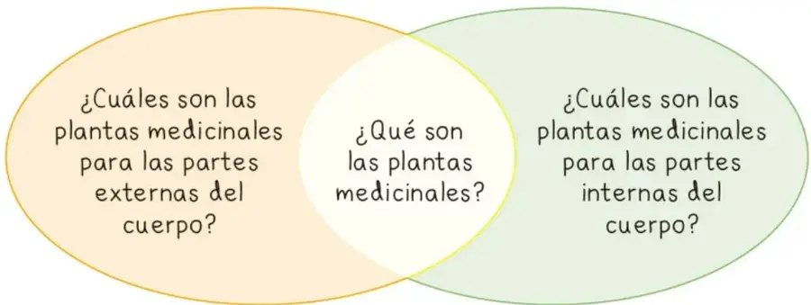 Diagrama de Venn con dos óvalos superpuestos: amarillo (izquierda, plantas para partes externas del cuerpo), verde (derecha, plantas para partes internas) e intersección blanca (definición de plantas medicinales).
