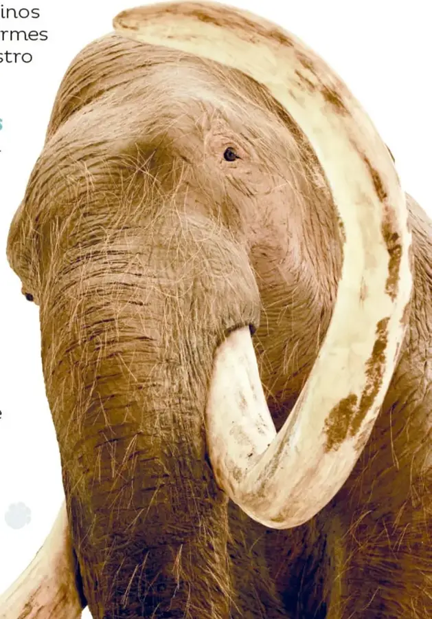 Fotografía de un mamut (elefante prehistórico) de pelo café claro y colmillos largos y curvos, de perfil, con el suelo cubierto de huellas difuminadas.