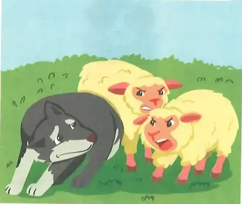 Ilustración de dos corderos junto al lobito.