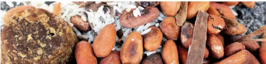 Fotografía de alimentos preparados: pan, arroz, frijoles y especias sobre una superficie.