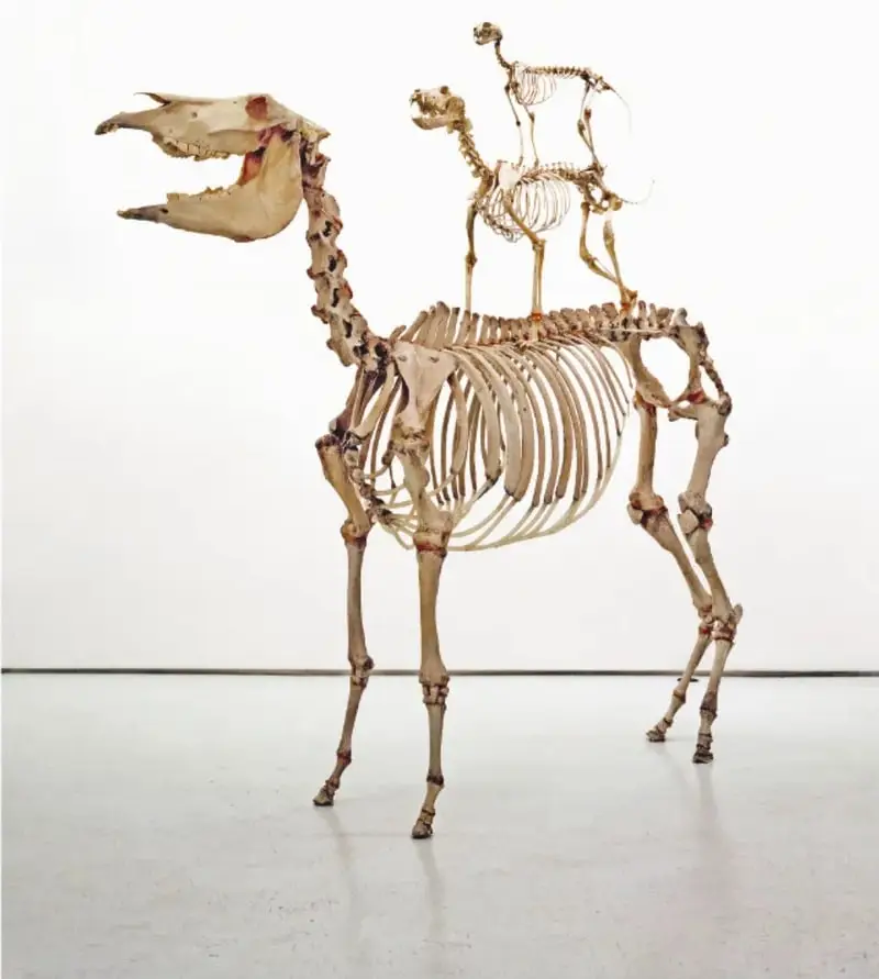 Fotografía de una instalación artística: esqueletos de un burro, un perro y un gato montados uno sobre otro sobre un fondo blanco.