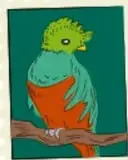 Ilustración de un ave verde y naranja posada sobre una rama, enmarcada como estampilla.