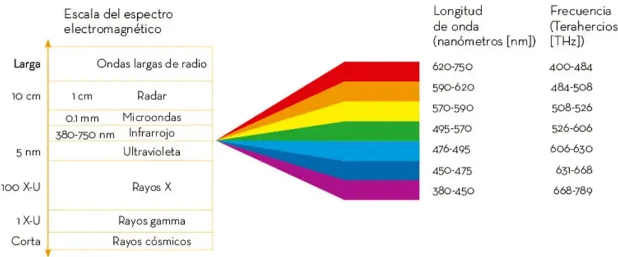 Diagrama de la escala del espectro electromagnético con regiones y longitudes de onda.