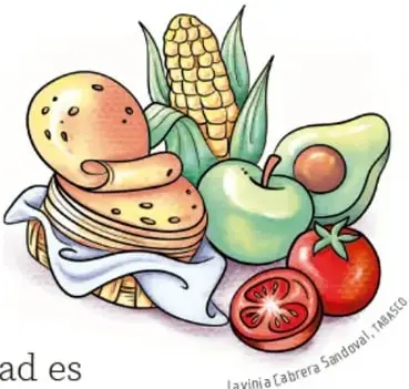 Ilustración de alimentos: pan dulce, elote, manzana, aguacate y jitomate (Lavinia Cabrera Sandoval, IMASG).