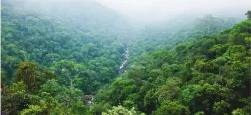 Paisaje de la zona norte de Esmeraldas, con un cuerpo de agua y vegetación tropical, representativo de un clima cálido y húmedo.