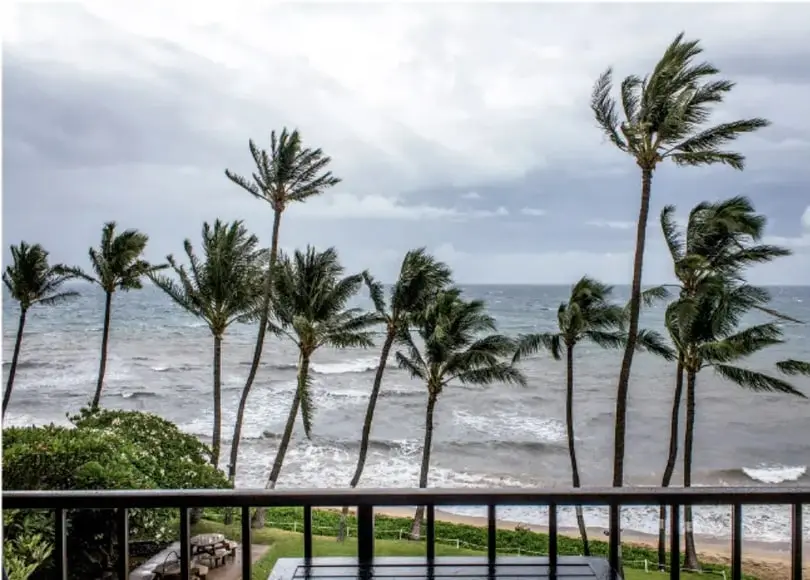 Fotografía de una costa con palmeras inclinadas por el viento, mar agitado y cielo nublado, vista desde una terraza con barandal. Ilustra el oleaje alto asociado a inundaciones costeras.