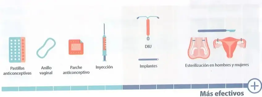 Figura 7 de Ciencias Naturales 10° · 2025