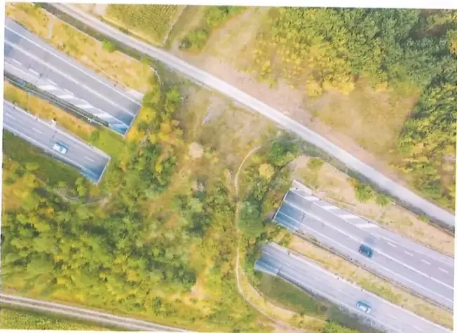 Vista aérea de carreteras que atraviesan una zona natural; representa la fragmentación de hábitats y la necesidad de corredores ecológicos.