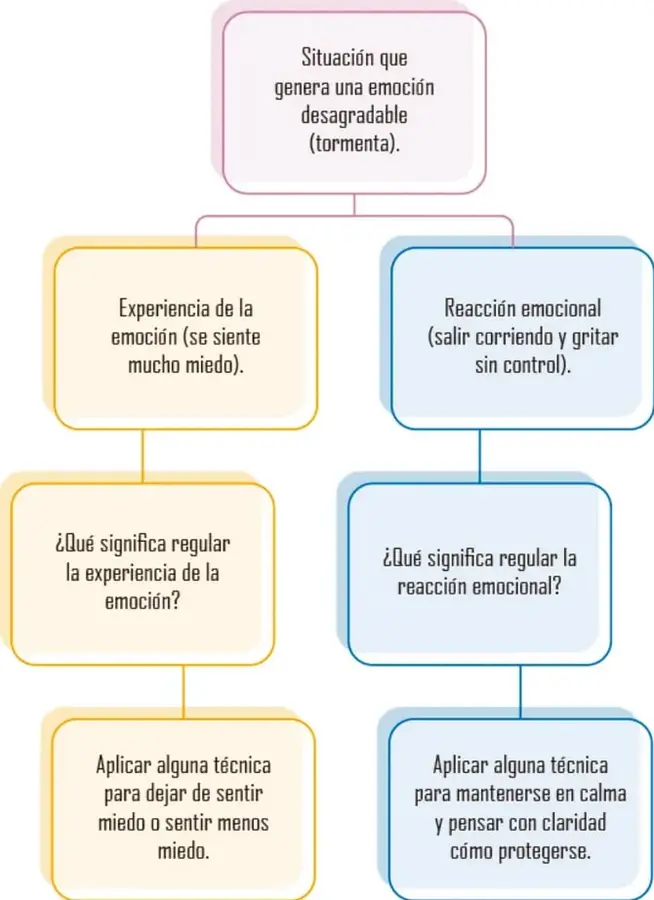 Diagrama de flujo «Ejemplo de regulación emocional»: parte de una situación (tormenta) y se bifurca en la experiencia de la emoción (miedo, rama amarilla) y la reacción emocional (gritar/correr, rama azul), cada una con su pregunta y su respuesta de regulación.