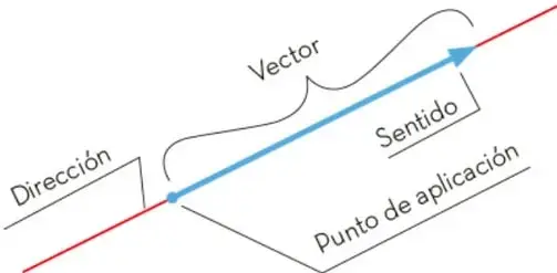 Esquema de un vector representado por una flecha azul sobre una línea roja, con etiquetas: dirección, sentido, punto de aplicación y vector.