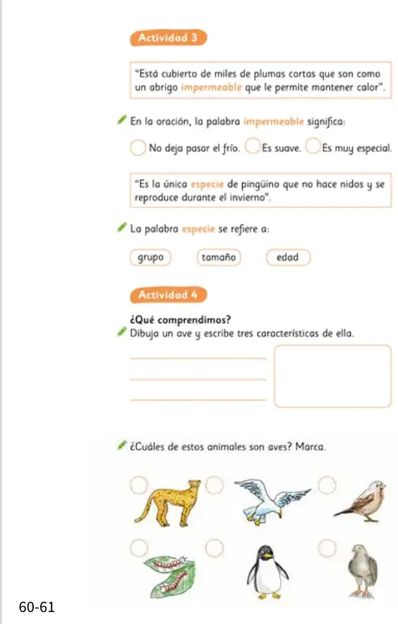 Recuadro con la oración sobre el abrigo impermeable y alternativas de respuesta.