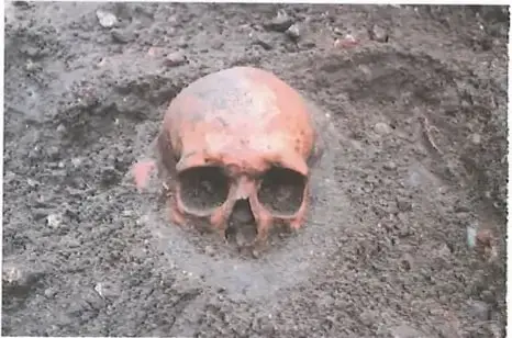 Figura 3 de Ciencias Naturales 10° · 2025