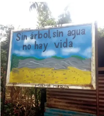Fotografía de un cartel pintado a mano que dice 'Sin árbol, sin agua no hay vida', ubicado en un paisaje rural con árboles y cielo.