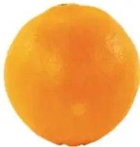 Fotografía de una naranja fresca.