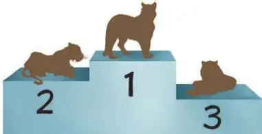 Podio de tres escalones con siluetas de felinos: uno pequeño en el 2.º lugar, uno grande en el 1.º y otro en el 3.º.