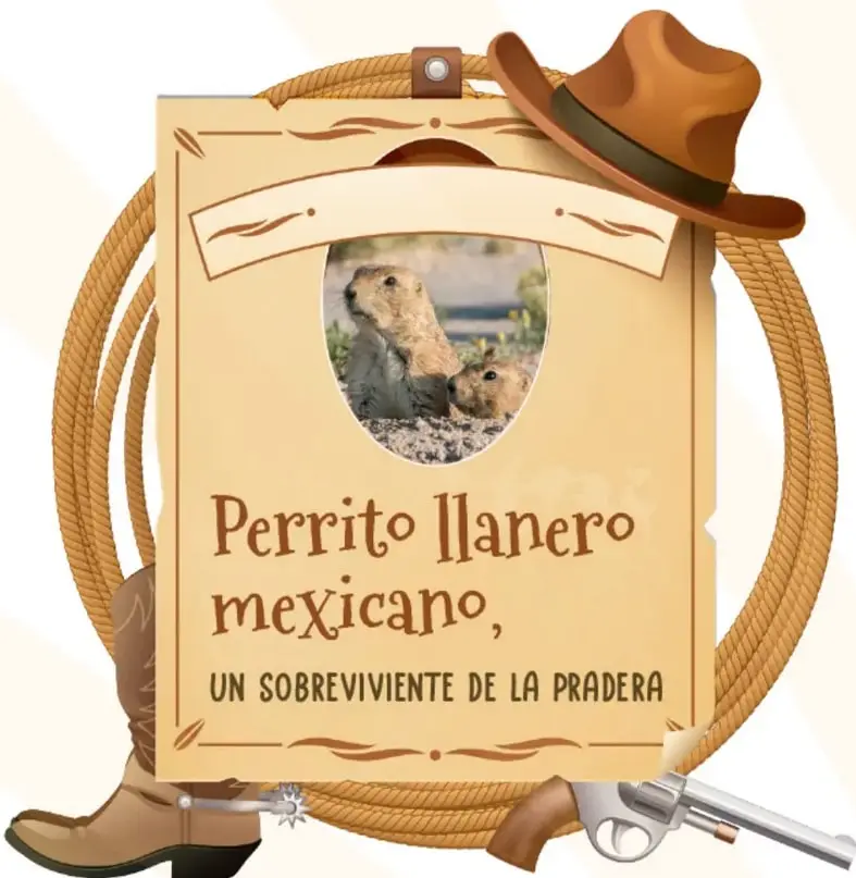 Cartel tipo póster vaquero con sombrero, lazo, bota con espuela y pistola; contiene la foto de dos perritos de la pradera saliendo de una madriguera y el título del texto.