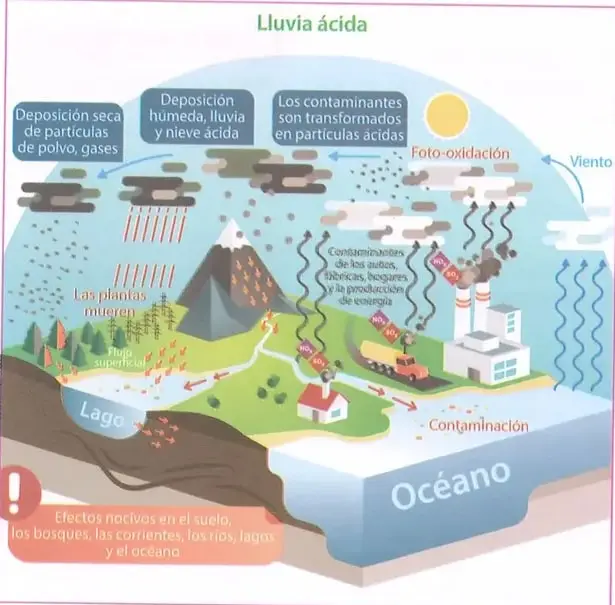 Diagrama sobre la lluvia ácida. Muestra la deposición seca y húmeda de contaminantes, la foto-oxidación, el transporte por el viento y los efectos nocivos en plantas, suelos, bosques, lagos, ríos y océanos.