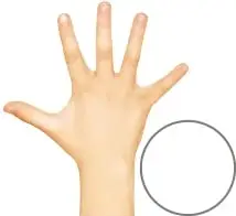 Fotografía de una mano descubierta con los dedos abiertos, junto a un espacio en blanco para anotar observaciones.