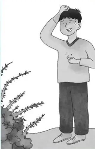 Recuadro con la oración sobre el cobarde del árbol.