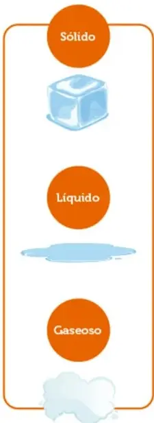 Recuadro vertical con los tres estados del agua: círculo naranja 'Sólido' con cubo de hielo, 'Líquido' con charco de agua, 'Gaseoso' con nube de vapor.