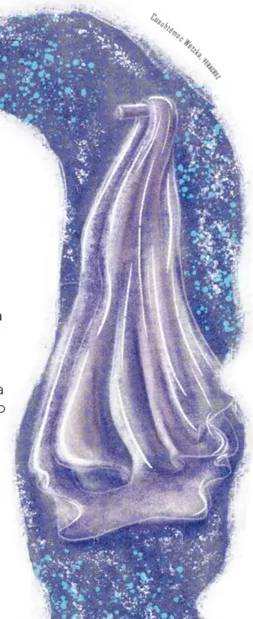Ilustración en tonos violeta y azul de un personaje de un solo ojo acostado que despierta sobre una almohada, con una cortina o tela colgante, sobre un fondo nocturno moteado; incluye firma de la ilustradora en el borde superior derecho, apenas legible.